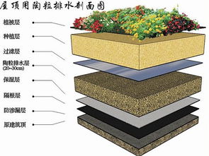 屋顶用淘粒排水剖面图